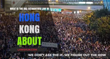 Understanding Hong Kong's Controversial Extradition Law: Key Points Explained