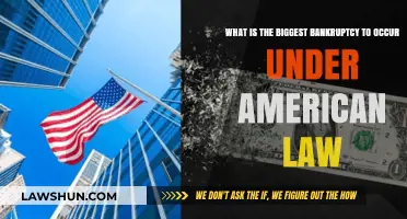 The Biggest Bankruptcy in American History: A Legal and Financial Analysis