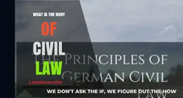 Understanding the Body of Civil Law: Principles, Scope, and Application