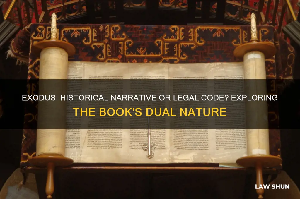 what is the book of exodus is history or law