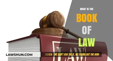 Exploring the Foundations: What Constitutes the Book of Law?