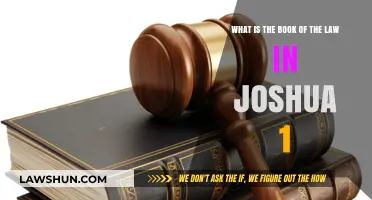 Understanding the Book of the Law in Joshua 1: A Biblical Exploration
