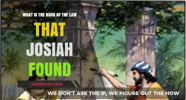 Josiah's Discovery: Unveiling the Book of the Law in Scripture