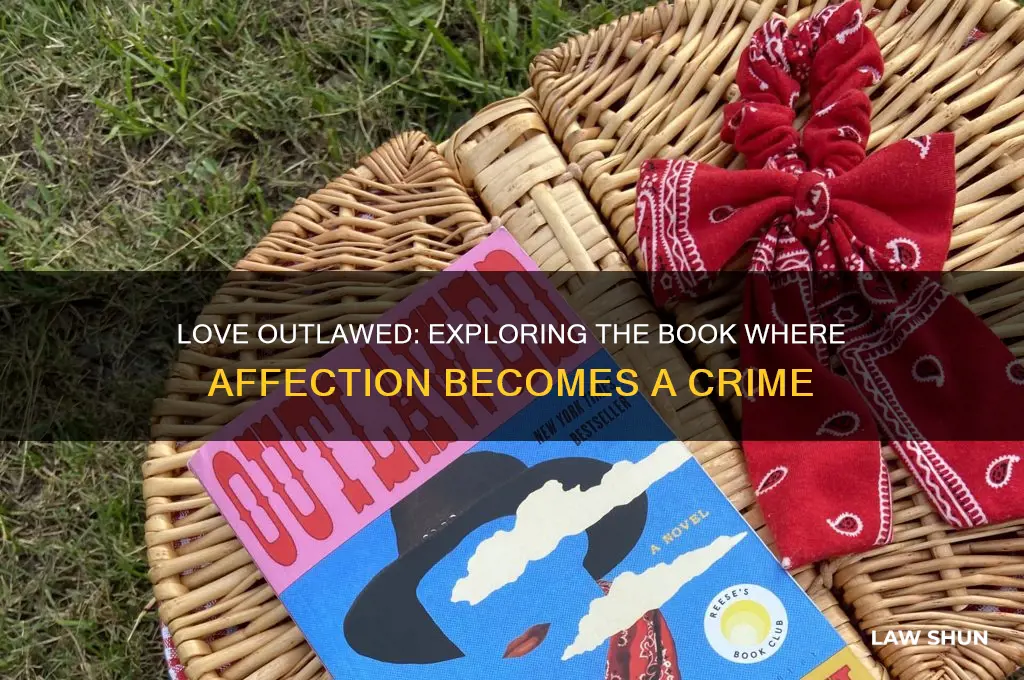 what is the book where loving is against the law