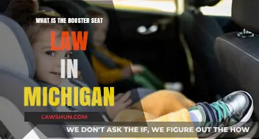 Understanding Michigan's Booster Seat Law: Safety Requirements for Children
