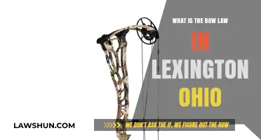 Understanding Lexington, Ohio's Bow Law: Regulations and Implications Explained