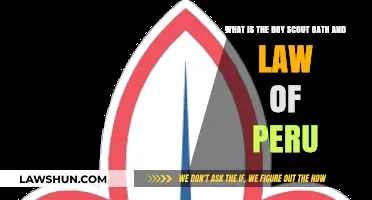 Understanding Peru's Boy Scout Oath and Law: Principles and Values