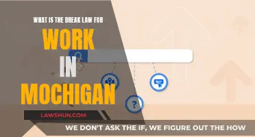 Michigan Work Breaks: Understanding Your Legal Rights