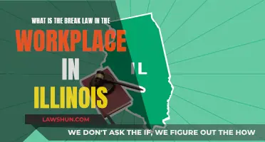 Illinois Workplace Break Laws: What You Need to Know