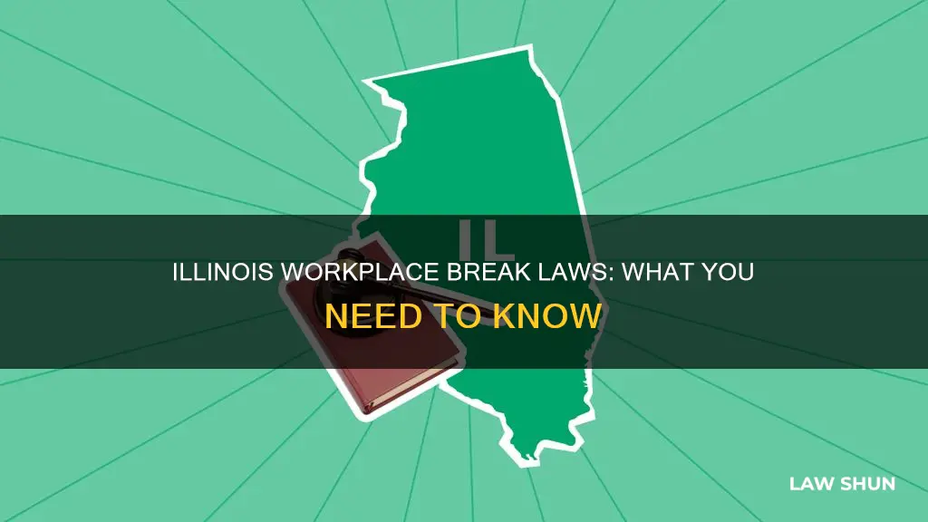 what is the break law in the workplace in illinois