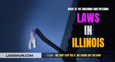 Breaking and Entering: Illinois Laws Explained