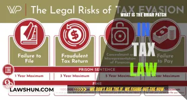 Briar Patch: Tax Law's Complex Labyrinth