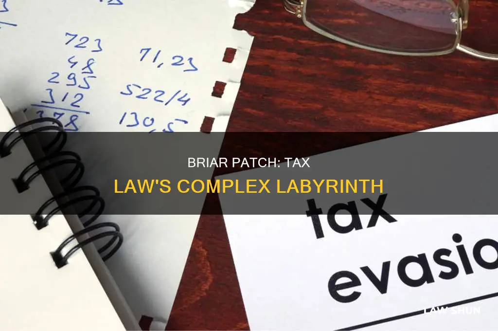 what is the briar patch in tax law
