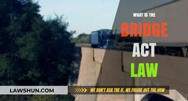 Understanding the BRIDGE Act: A Comprehensive Legal Overview