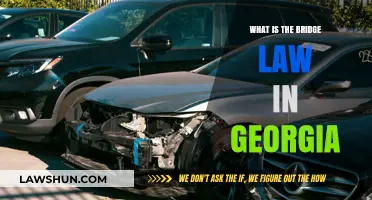 Understanding Georgia's Bridge Law: Key Regulations and Compliance Tips