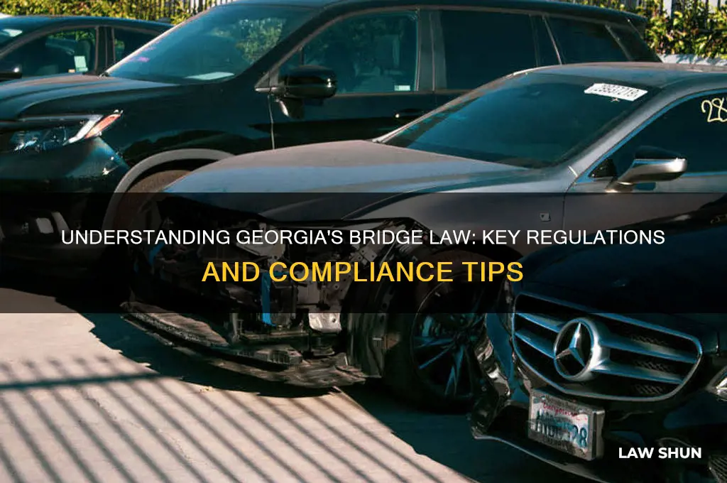 what is the bridge law in georgia