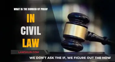 Understanding the Burden of Proof in Civil Law Cases