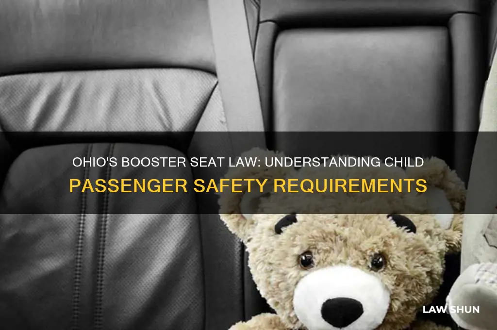 what is the buster seat law in ohio