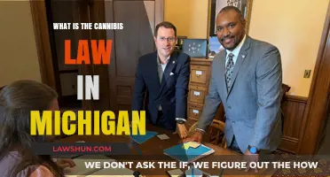 Understanding Michigan's Cannabis Laws: Legalization, Regulations, and Compliance