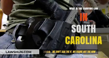 Understanding South Carolina's Carrying Laws: A Comprehensive Guide