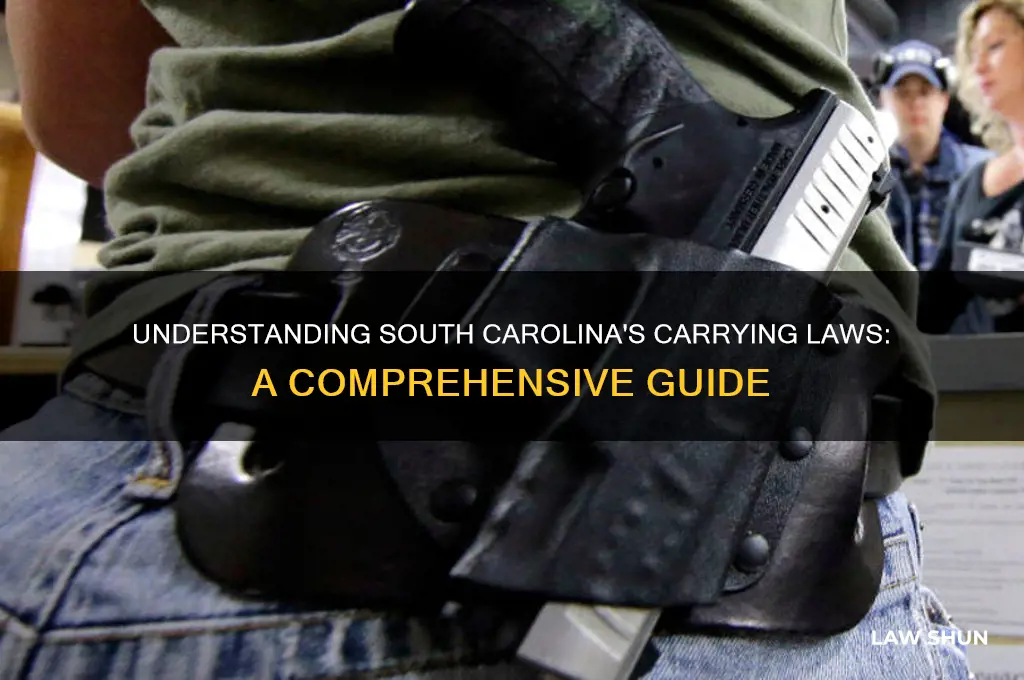 what is the carrying law in south carolina