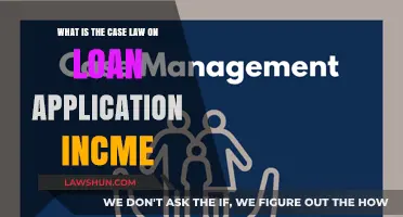 Loan Application Income: What Case Law Says