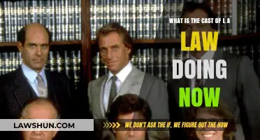 L.A. Law Cast Today: Where Are They Now?