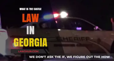 Understanding Georgia's Castle Law: Self-Defense Rights for Homeowners Explained