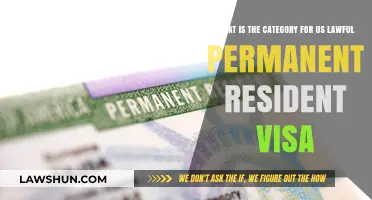 Understanding the Visa Category for US Lawful Permanent Residency