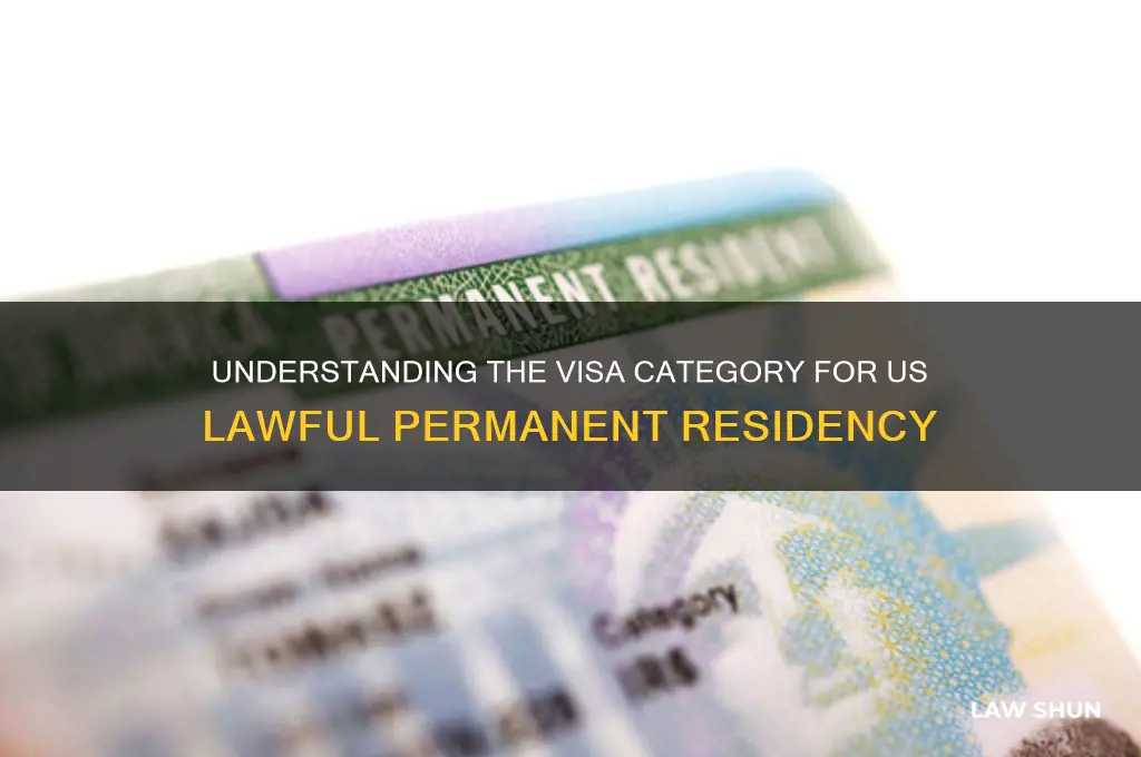 what is the category for us lawful permanent resident visa