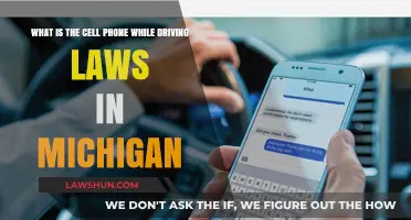 Michigan's Cell Phone Driving Laws: What You Need to Know