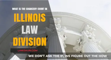 Understanding Illinois Chancery Court: Law Division Roles and Functions