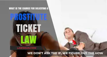 Understanding Solicitation Charges: Legal Consequences of Prostitution Ticket Laws