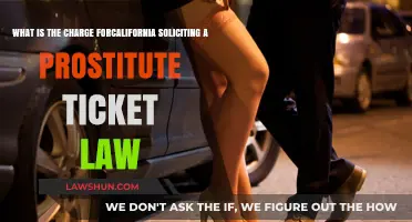 California Soliciting Prostitute Ticket Law: Charges, Penalties, and Legal Consequences