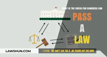 Congress Law-Making: Checks and Balances