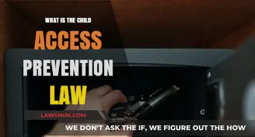 Understanding Child Access Prevention Laws: Safeguarding Kids from Gun Hazards