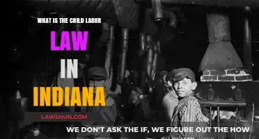 Understanding Indiana's Child Labor Laws: Protections and Regulations Explained