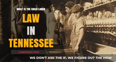 Understanding Tennessee's Child Labor Laws: Protections and Regulations Explained