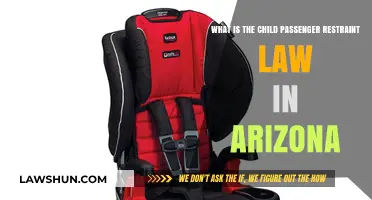 Arizona's Child Passenger Restraint Law: What Parents Need to Know