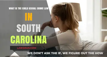Understanding South Carolina's Child Sexual Crime Laws: Protections and Penalties