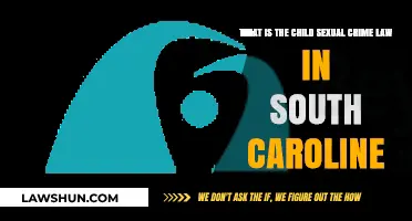 Understanding South Carolina's Child Sexual Crime Laws: Protections and Penalties
