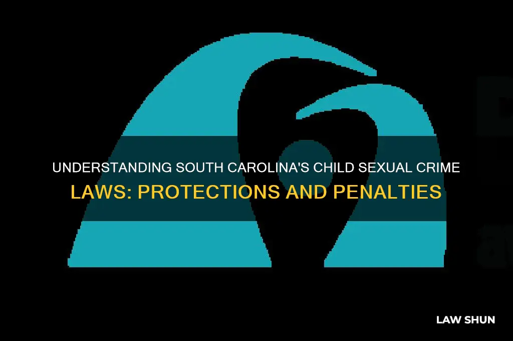 what is the child sexual crime law in south caroline