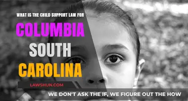 Understanding Child Support Laws in Columbia, South Carolina: A Comprehensive Guide