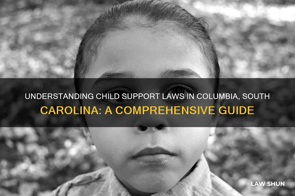 what is the child support law for columbia south carolina