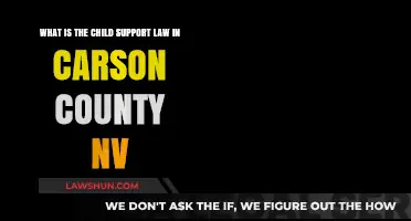 Understanding Carson County, NV Child Support Laws: A Comprehensive Guide
