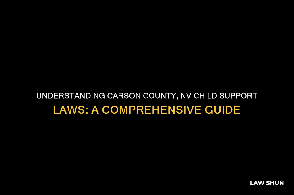 what is the child support law in carson county nv