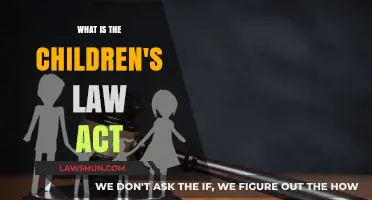 Understanding the Children's Law Act: Rights, Protections, and Legal Framework