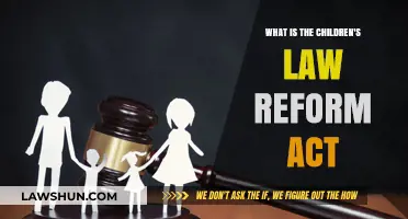 Understanding the Children's Law Reform Act: Key Provisions and Impact