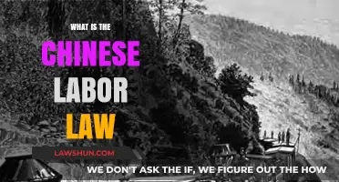 Understanding Chinese Labor Law: Rights, Regulations, and Worker Protections