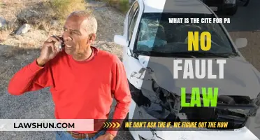 Understanding Pennsylvania's No-Fault Law: Key Cite and Legal Insights